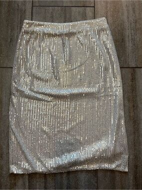 Vine & Love Silver Sequin Pencil Skirt